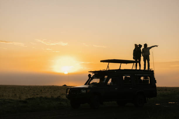 Female tourist standing on the top of safari jeep while exploring the wilderness at sunset.
